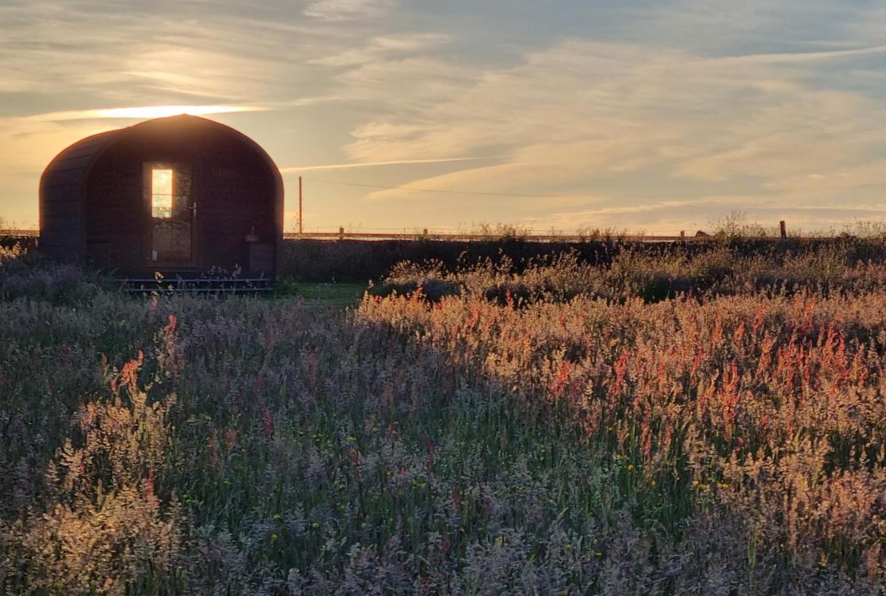 Celaeron Glamping Camping *